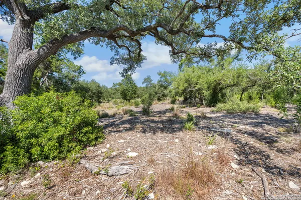$255,000 | 840 Earle Oak Avenue, Bulverde, TX 78163