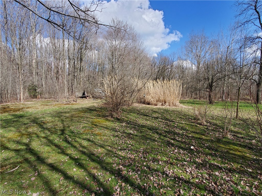 8602 Freedom Road Windham, OH 44288 - Photo 33 of 34 Gallery Image 33