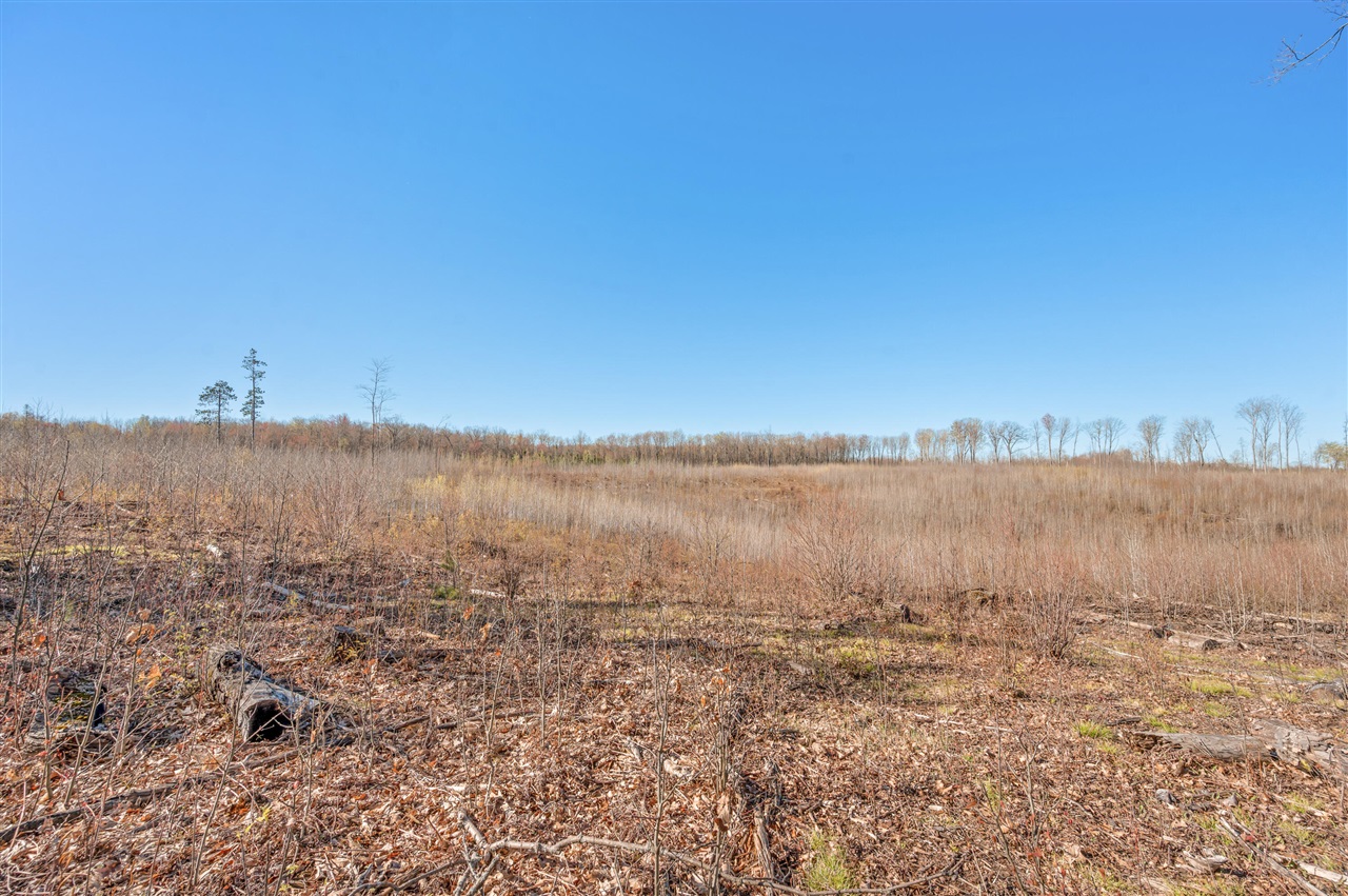 16107 12 Mile Road Leroy, MI 49655 - Photo 34 of 40 Gallery Image 34