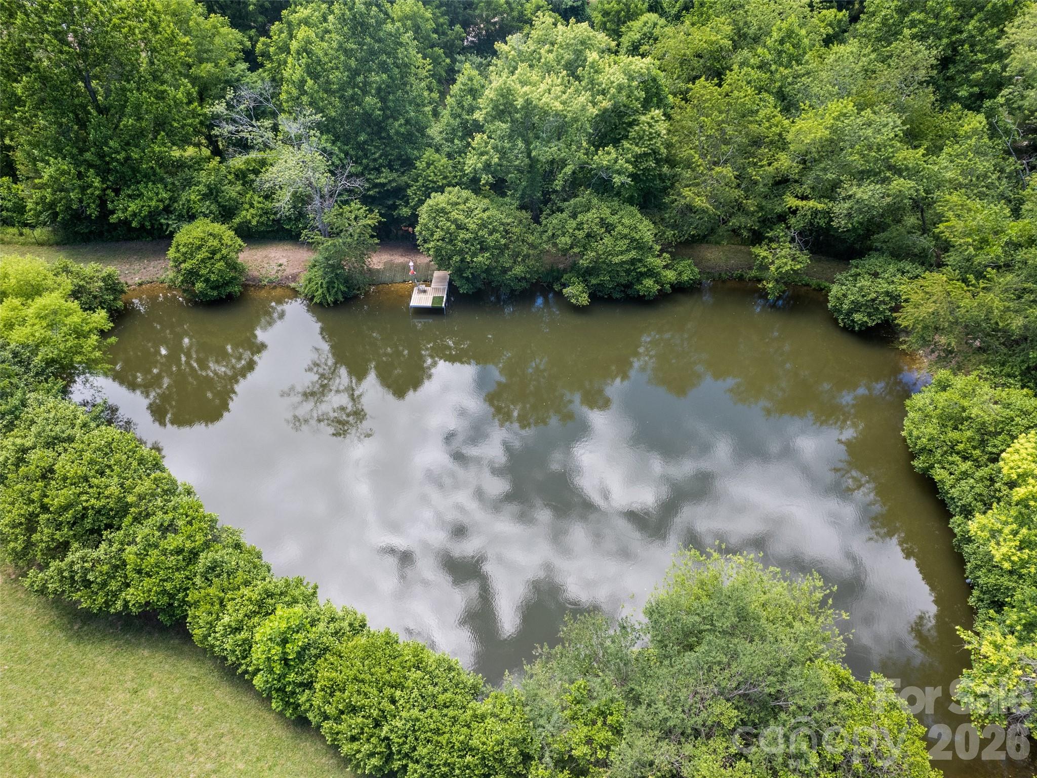 9999 Lollis Road Candler, NC 28715 - Photo 10 of 16