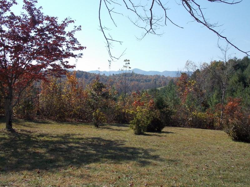 156 Rose Wood Road Woolwine, VA 24185 - Photo 11 of 29 a view of a yard with a tree