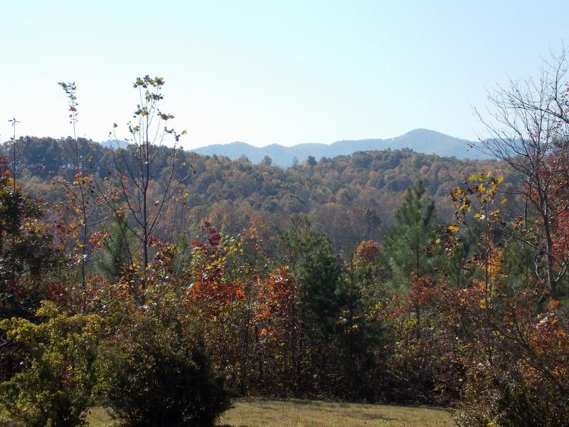 156 Rose Wood Road Woolwine, VA 24185 - Photo 7 of 29 a view of a bunch of trees in the background