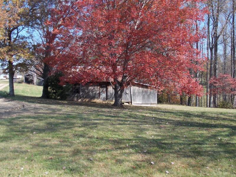 156 Rose Wood Road Woolwine, VA 24185 - Photo 9 of 29 a big yard with trees