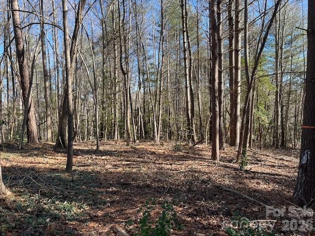 3155 Frederick Place Granite Falls, NC 28630 - Photo 12 of 15 a view of outdoor space with deck and trees