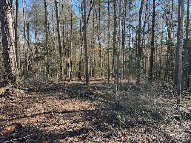 3155 Frederick Place Granite Falls, NC 28630 - Photo 13 of 15 a view of a yard with large trees