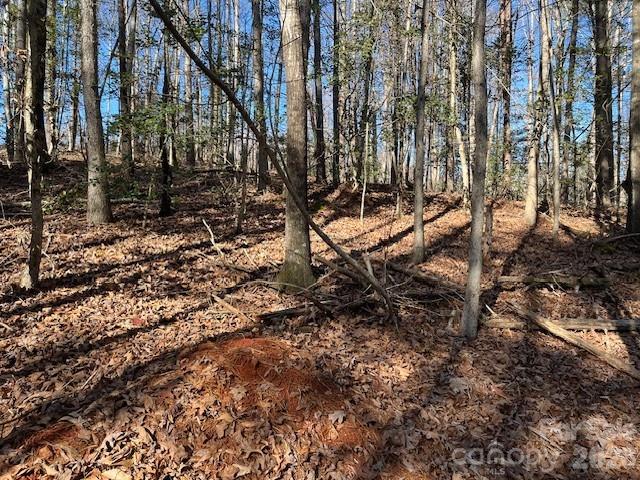 3155 Frederick Place Granite Falls, NC 28630 - Photo 4 of 15 a view of a yard with plants and trees