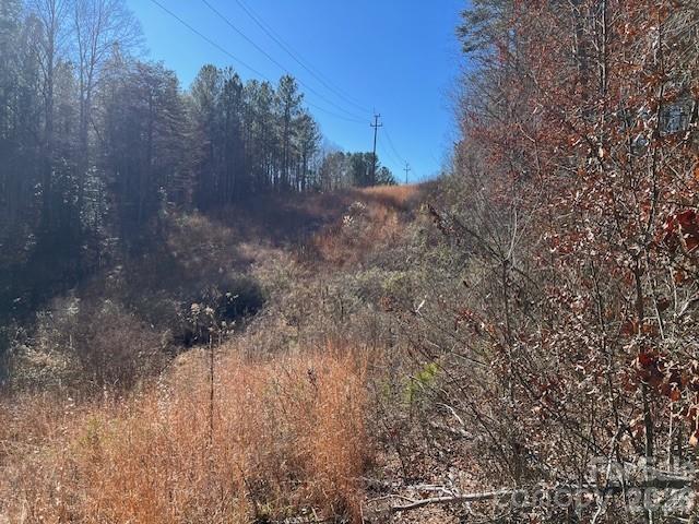 3155 Frederick Place Granite Falls, NC 28630 - Photo 6 of 15 a view of a dry yard