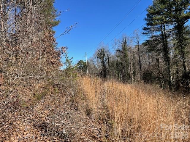 3155 Frederick Place Granite Falls, NC 28630 - Photo 7 of 15 a view of a yard