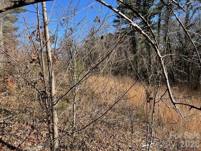 3155 Frederick Place Granite Falls, NC 28630 - Photo 8 of 15 a view of a tree with the snow