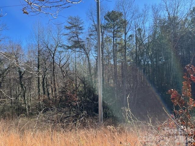 3155 Frederick Place Granite Falls, NC 28630 - Photo 9 of 15 a view of a forest