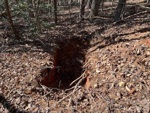 3155 Frederick Place Granite Falls, NC 28630 - Photo 10 of 15 a view of plant in the yard
