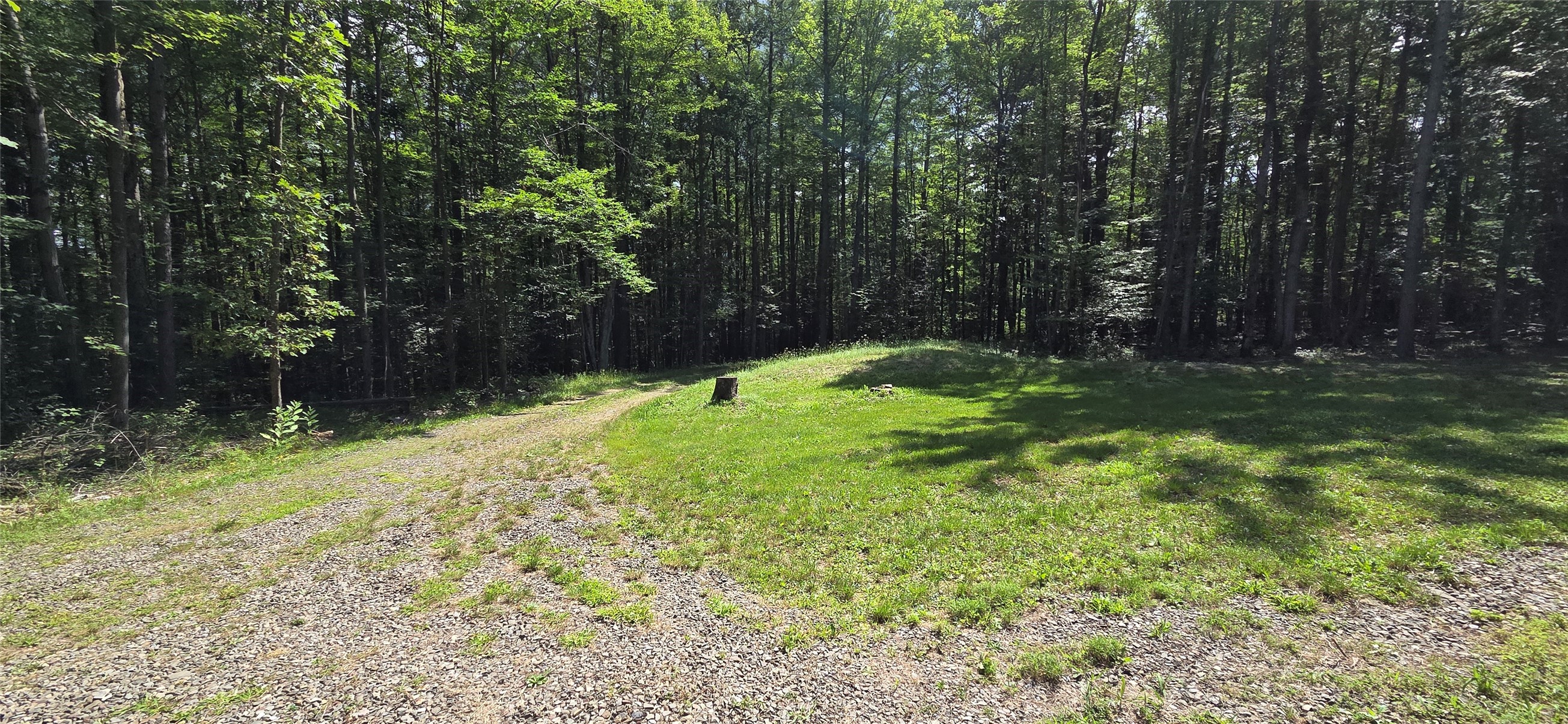 613 Randall Road Bradford, NY 14815 - Photo 16 of 49 Gallery Image 16