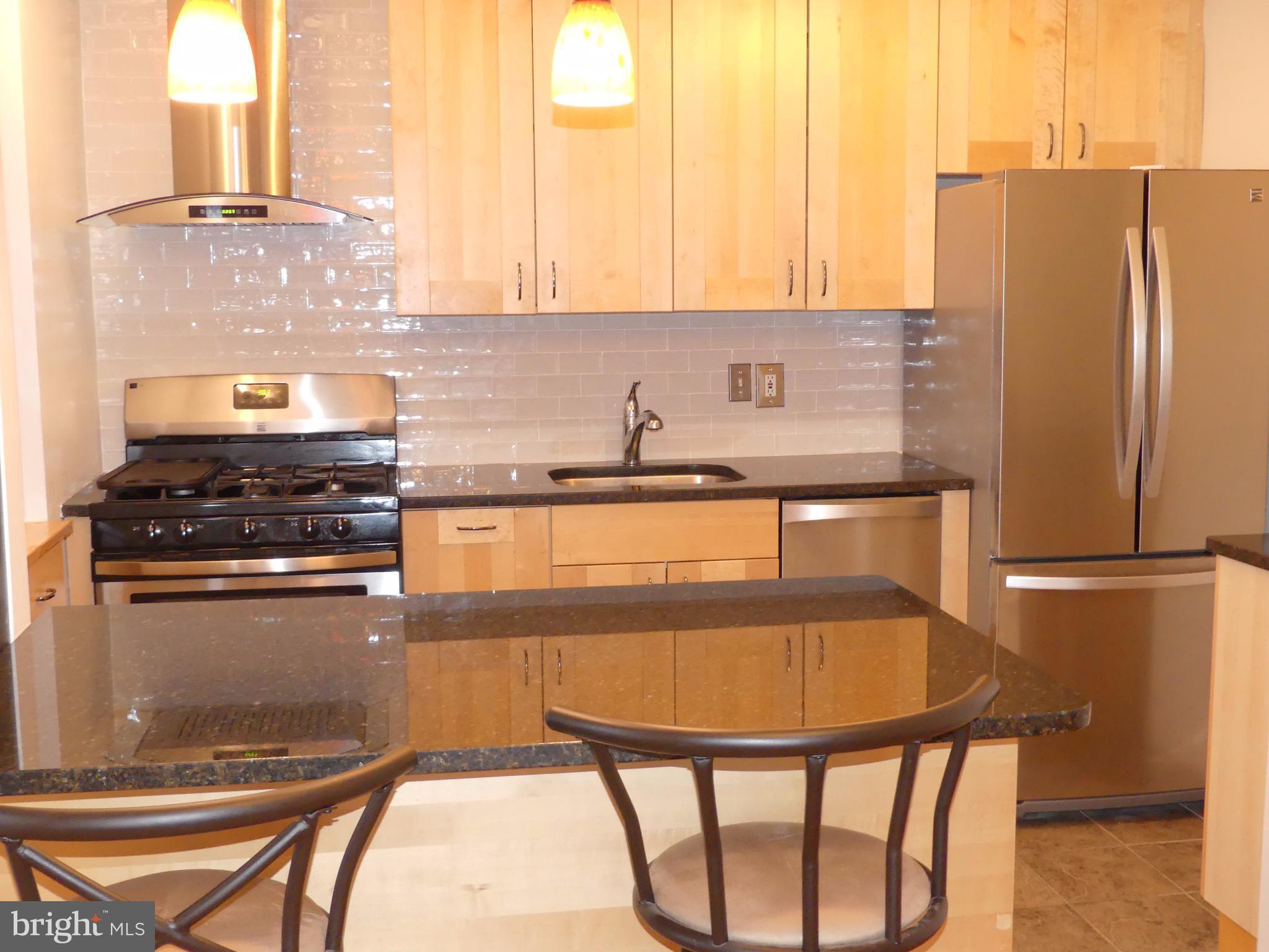 8335 Grubb Road, Unit G202 Silver Spring, MD 20910 - Photo 3 of 14 Kitchen