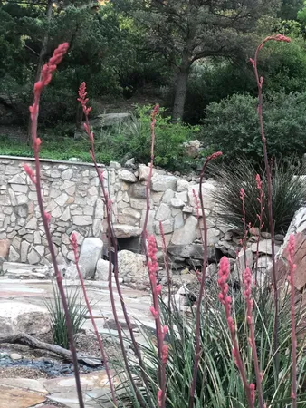 a view of yard with outdoor seating