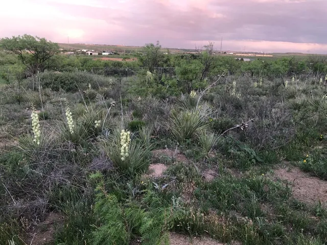 a view of a city with lush green forest