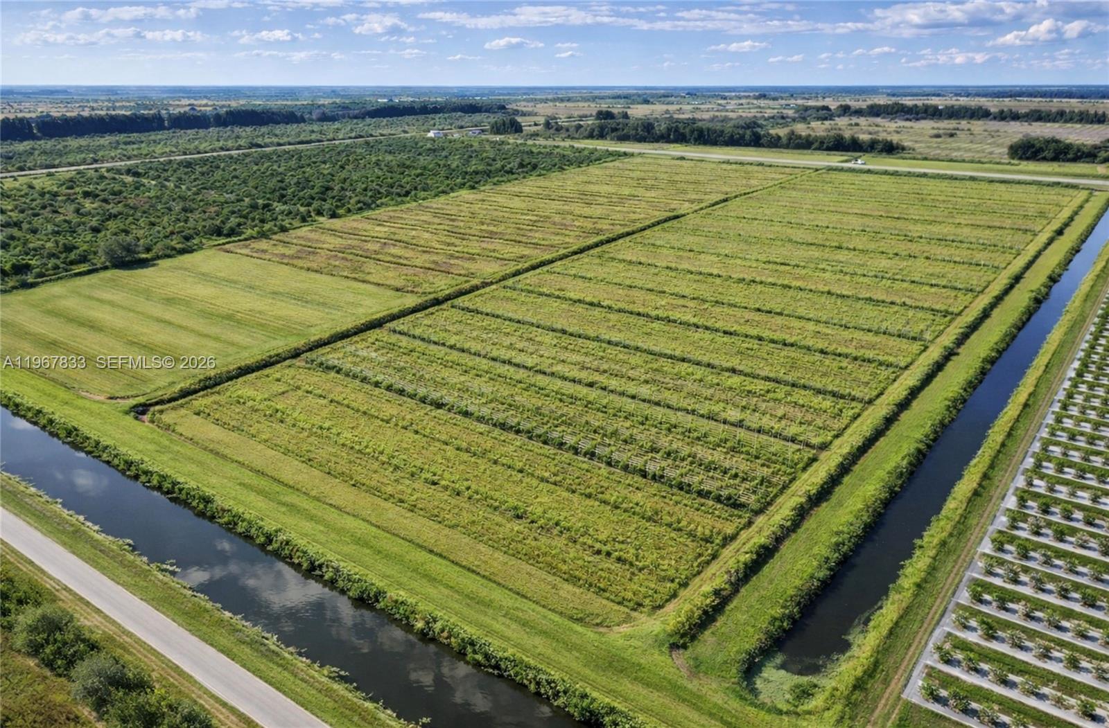 595 North Header Canal Road Fort Pierce, FL 34945 - Photo 7 of 12 a view of an outdoor space and a yard
