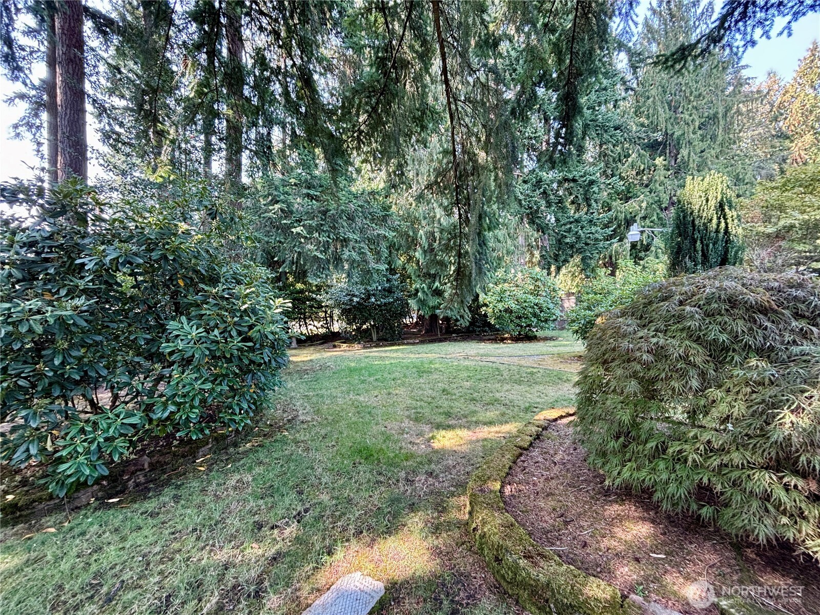 19304 3rd Drive Southeast Bothell, WA 98012 - Photo 11 of 24 a view of backyard with green space