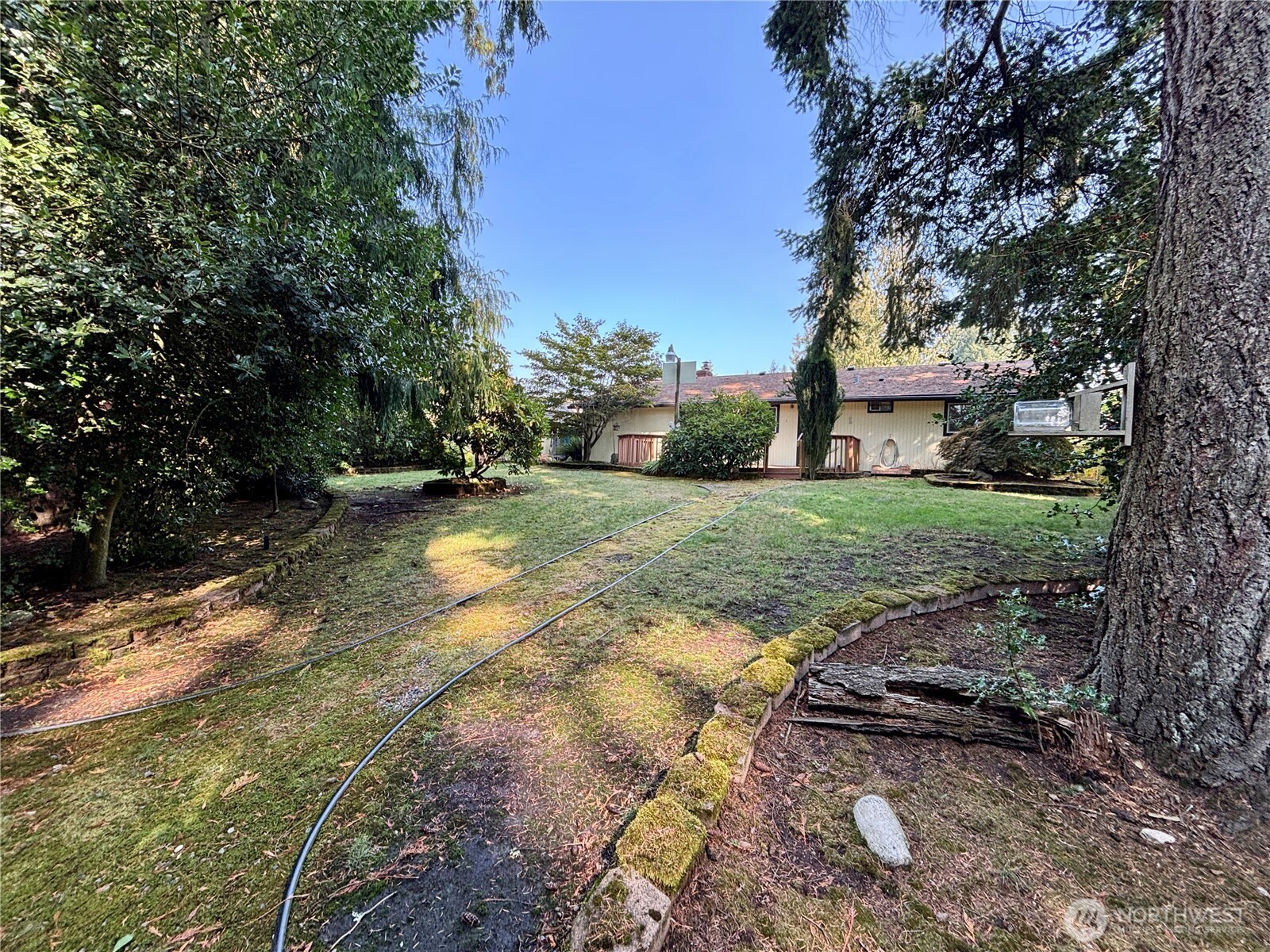 19304 3rd Drive Southeast Bothell, WA 98012 - Photo 14 of 24 a view of a yard with plants and a large tree