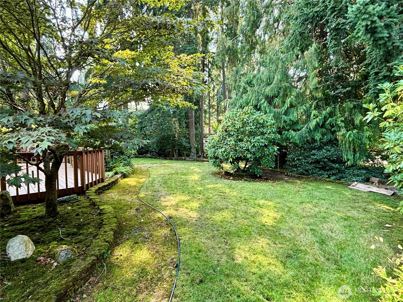 19304 3rd Drive Southeast Bothell, WA 98012 - Photo 16 of 24 a view of a backyard with a garden