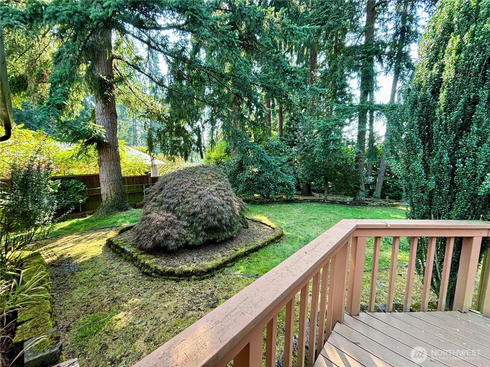 19304 3rd Drive Southeast Bothell, WA 98012 - Photo 7 of 24 a view of a backyard with large trees