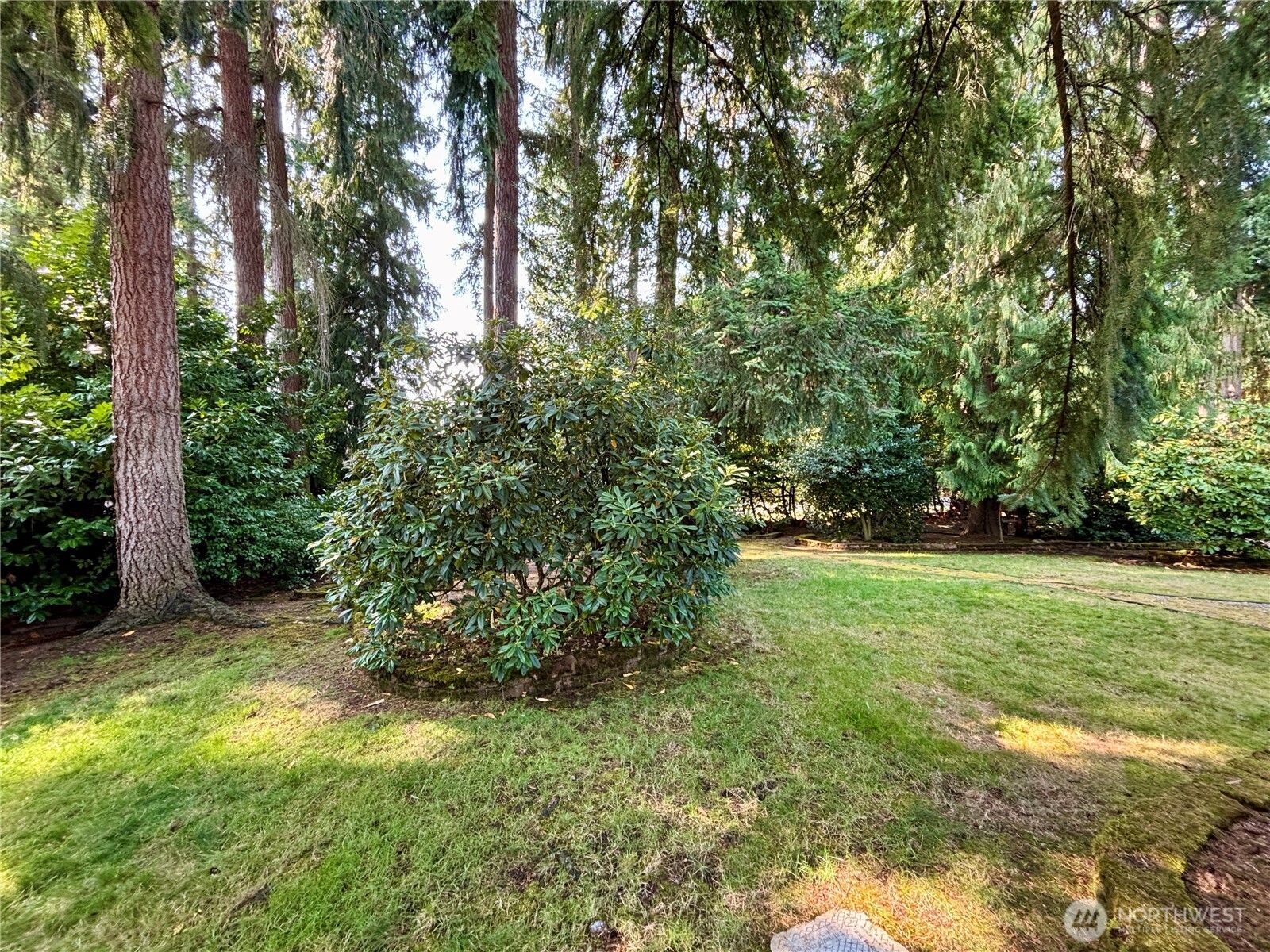 19304 3rd Drive Southeast Bothell, WA 98012 - Photo 10 of 24 a view of backyard with green space