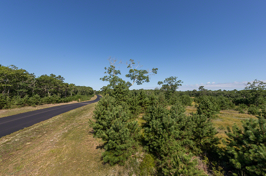 Lot 25 Paddock Road Oak Bluffs, MA 02557 - Photo 8 of 9 http://d1qzqeyxiitrap.cloudfront.net/photos/31298/d945b2fa.jpg