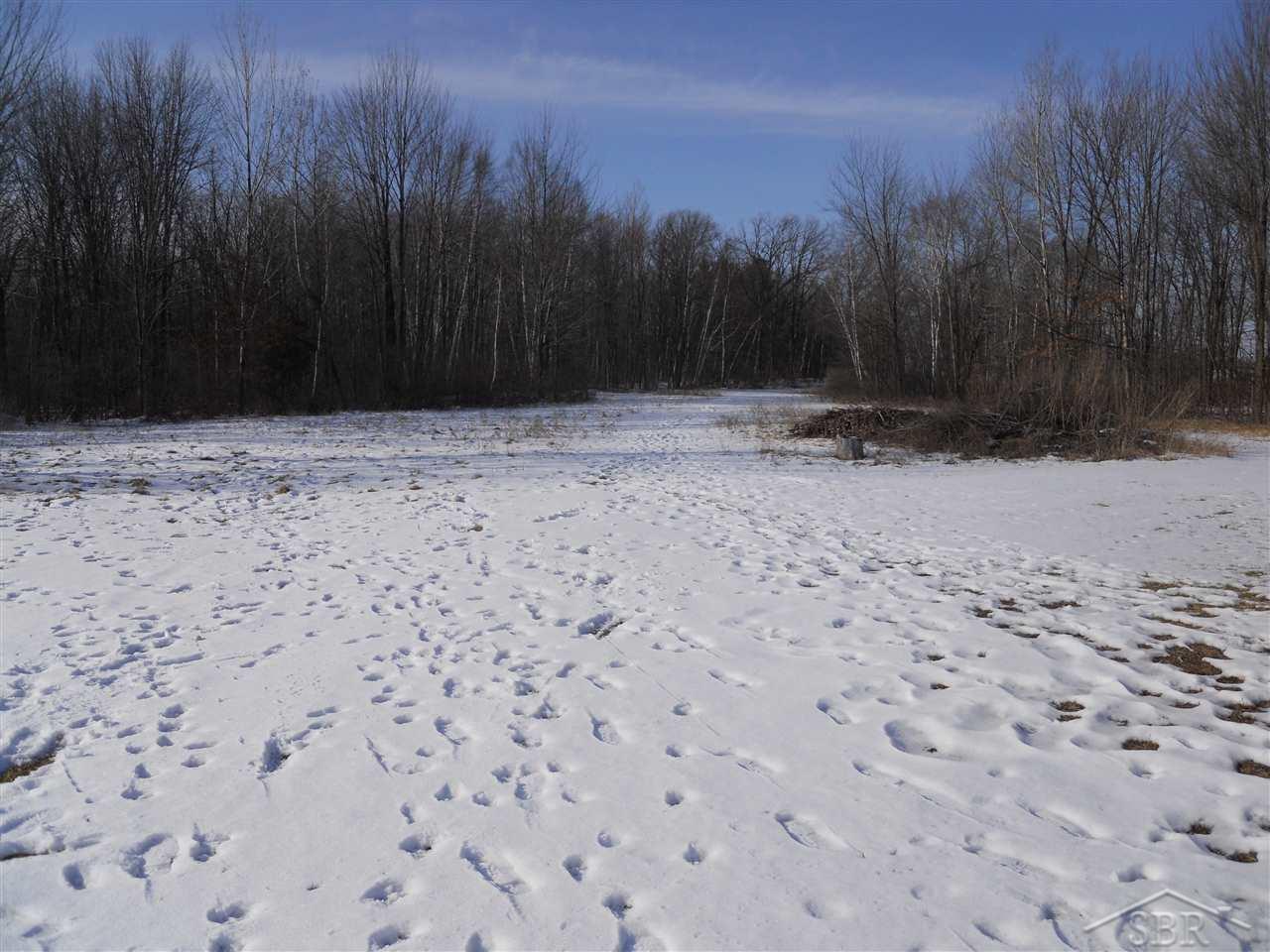 8646 Barkley Road Millington, MI 48746 - Photo 27 of 51 31277365-26.JPG