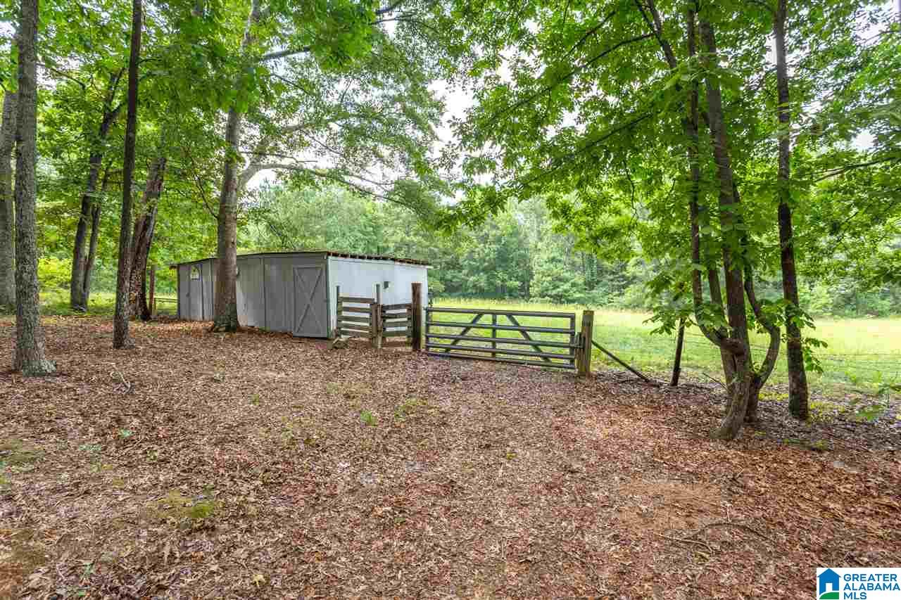 501 Eagle Bald Road Jacksonville, AL 36265 - Photo 35 of 49 Gallery Image 35