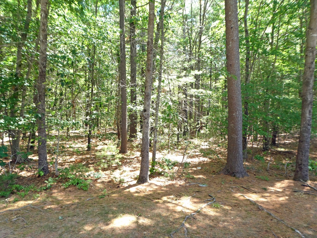 507 Crystal Way Middleboro, MA 02346 - Photo 37 of 37