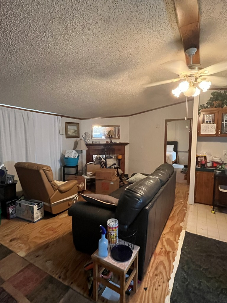 420 Dr Brooks Road Box Springs, GA 31801 - Photo 18 of 29 Gallery Image 18