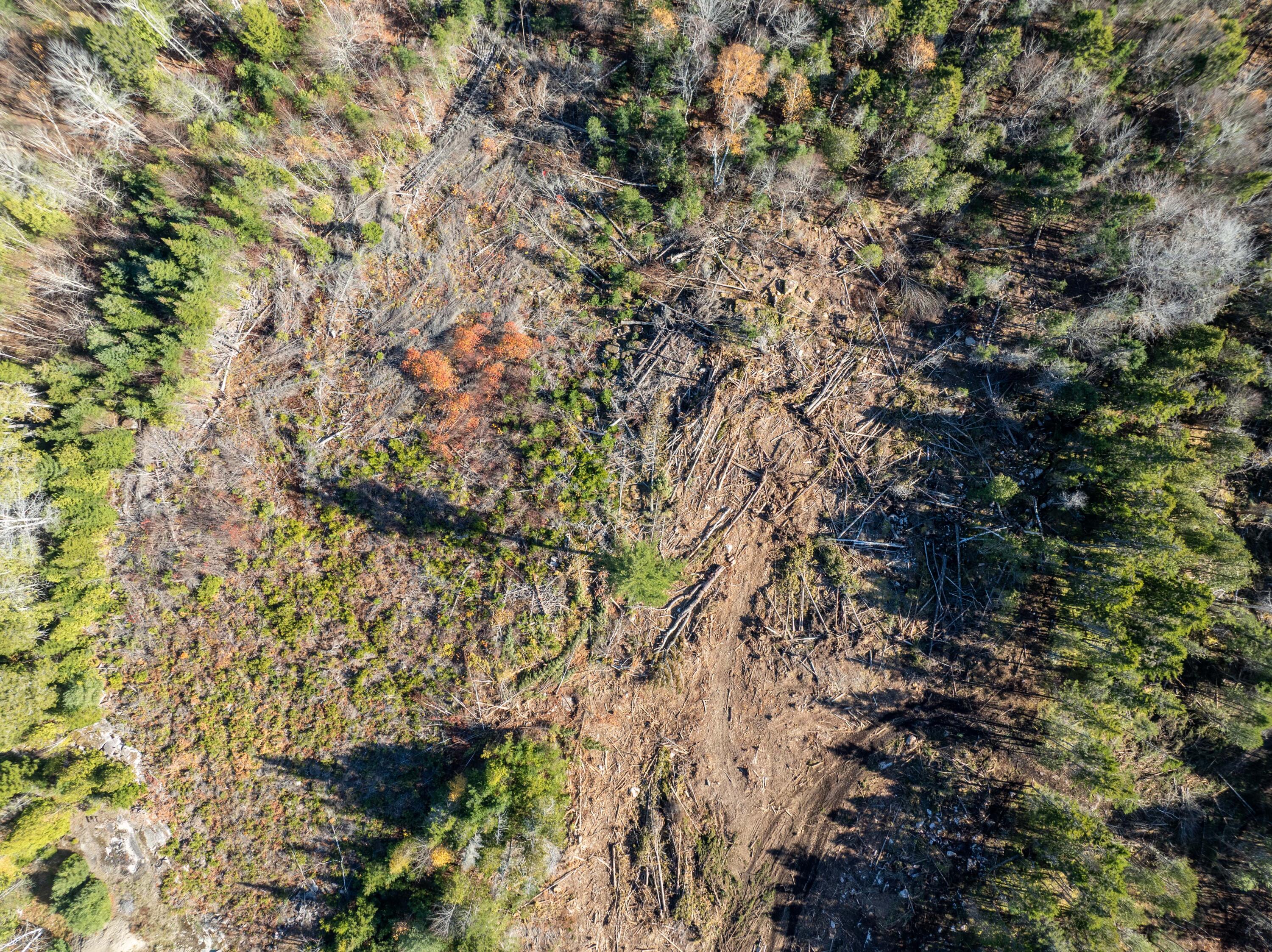 177 Means Cottage Road East Machias, ME 04630 - Photo 26 of 49
