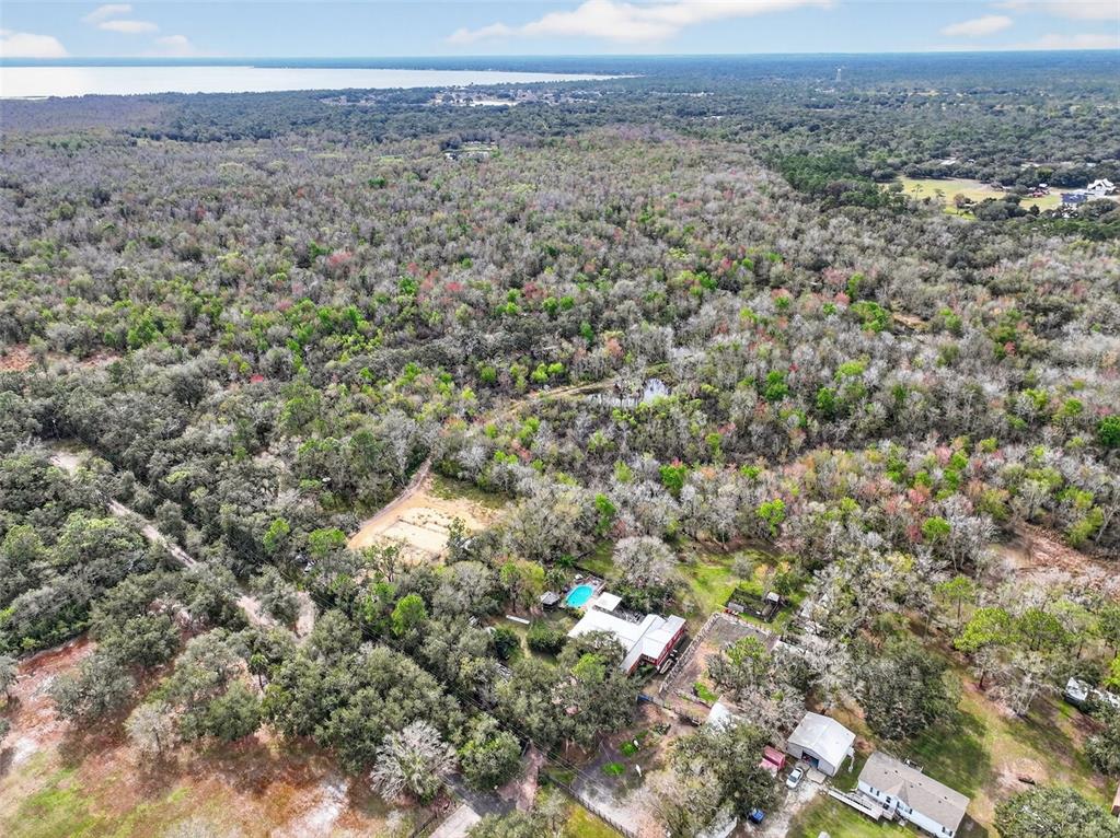 168 Walk In Water Creek Road Lake Wales, FL 33898 - Photo 7 of 15 a view of a dry yard with lots of trees