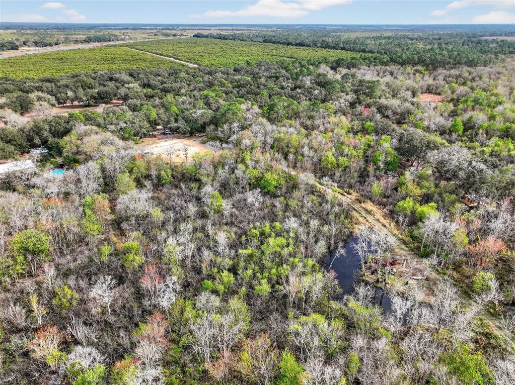 168 Walk In Water Creek Road Lake Wales, FL 33898 - Photo 8 of 15 a view of a field with a lush green forest
