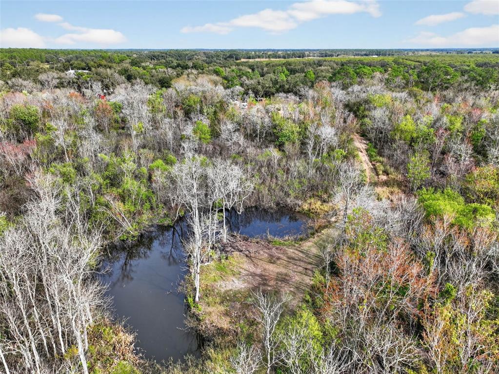 168 Walk In Water Creek Road Lake Wales, FL 33898 - Photo 9 of 15 a view of a lake with a yard