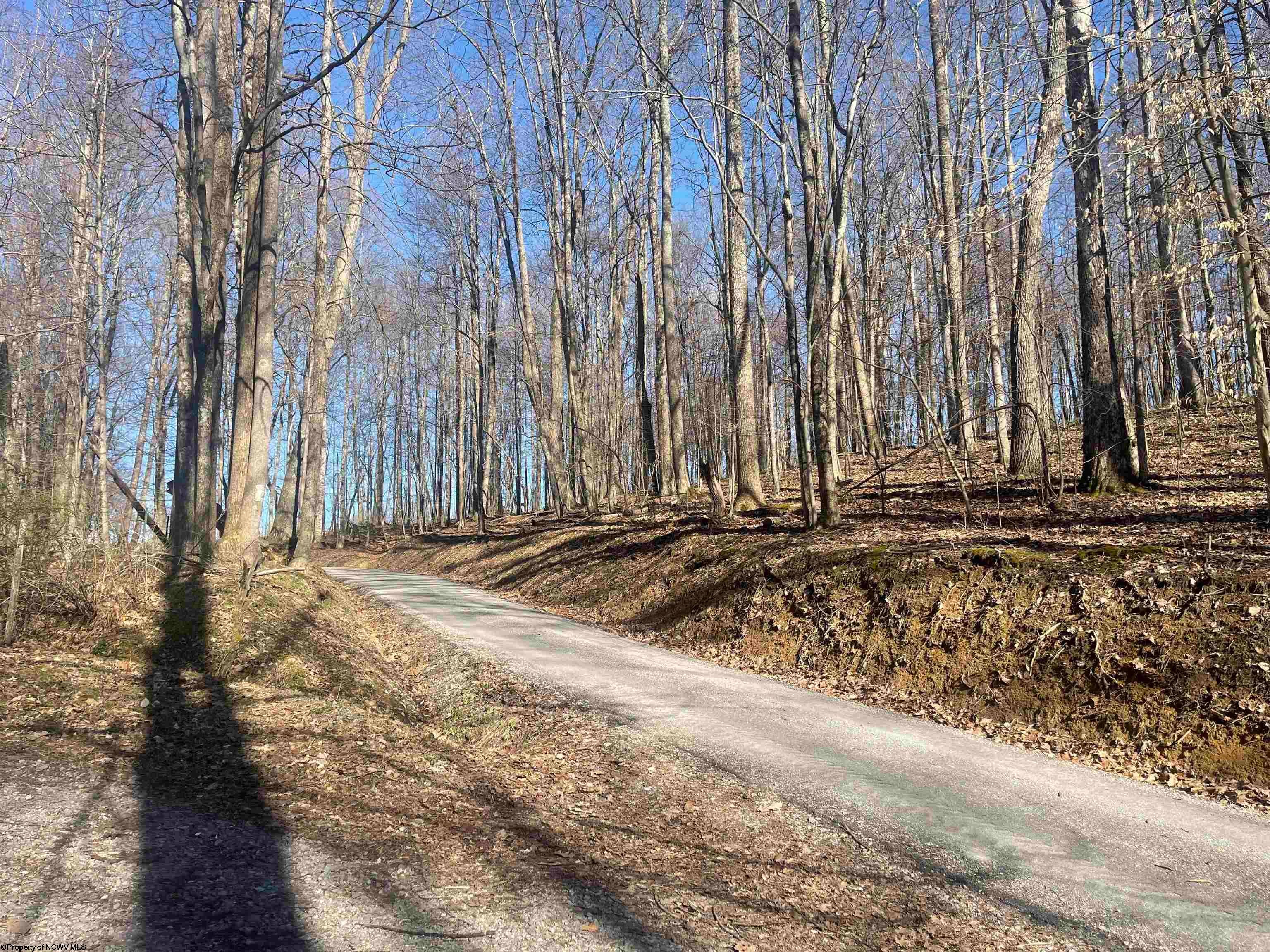 Tbd Jack Hill Road Buckhannon, WV 26201 - Photo 17 of 50 Gallery Image 17