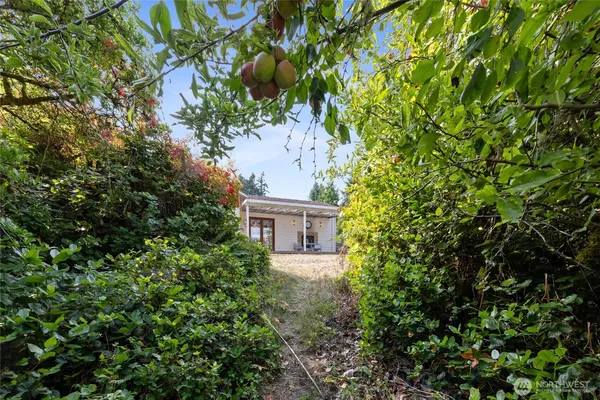 front view of a house with a tree