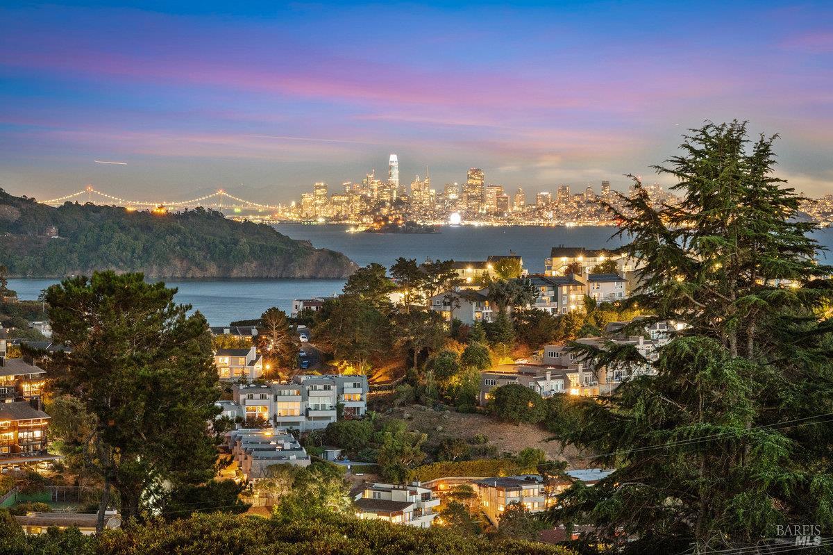 1 Tara View Road Tiburon, CA 94920 - Photo 66 of 72