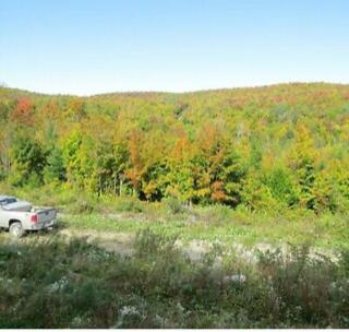 Map11-6-2 Map11-6-2 Rioux Road Eagle Lake, ME 04739 - Photo 3 of 9 Eagle Lake land with road