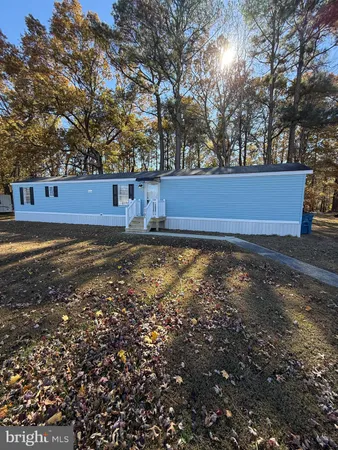 a view of a yard with large trees
