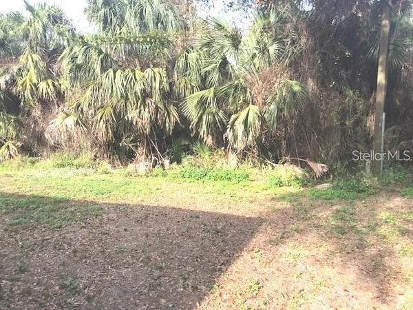 a view of backyard with green space