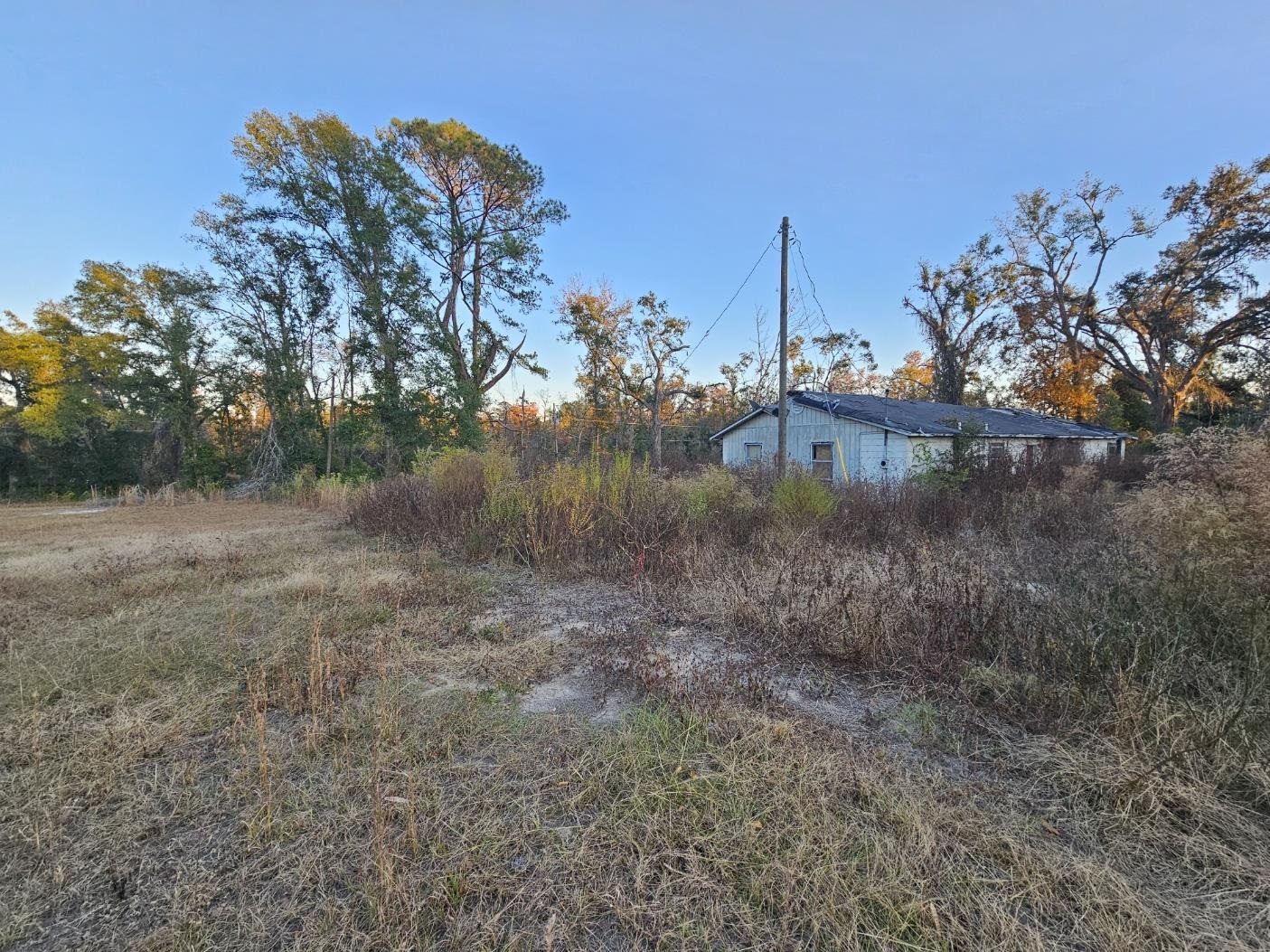 241 Northwest Darwin Loop Madison, FL 32340 - Photo 2 of 4