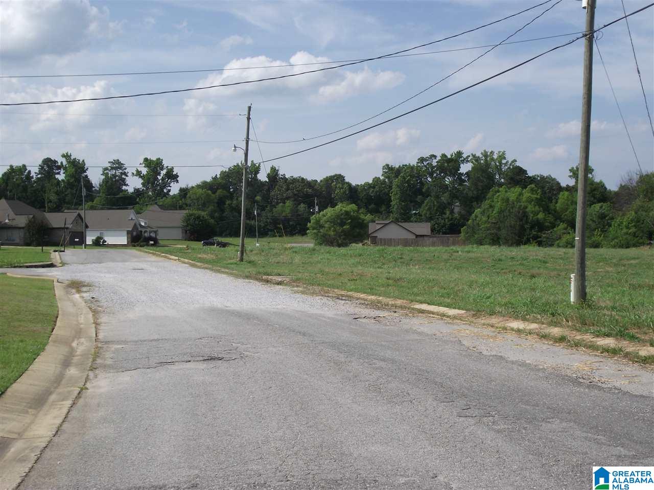 0 Logan Farms Road, Unit 1 Vance, AL 35490 - Photo 4 of 18