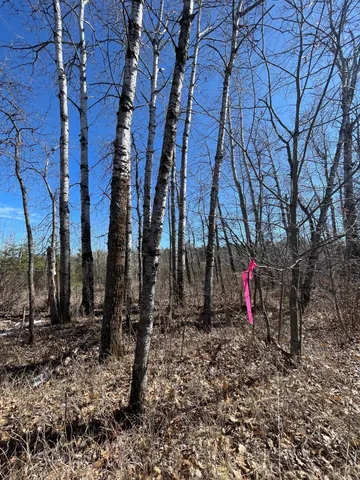 $45,000 | 46962-parcel B 269th Avenue, Laporte, MN 56461