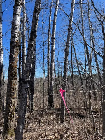 $45,000 | 46962-parcel B 269th Avenue, Laporte, MN 56461