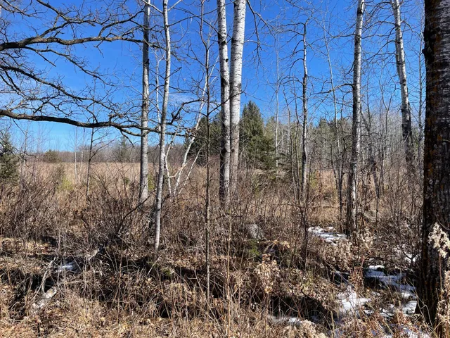 $45,000 | 46962-parcel B 269th Avenue, Laporte, MN 56461