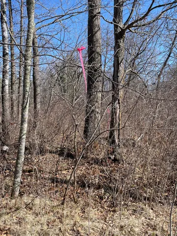 $45,000 | 46962-parcel B 269th Avenue, Laporte, MN 56461