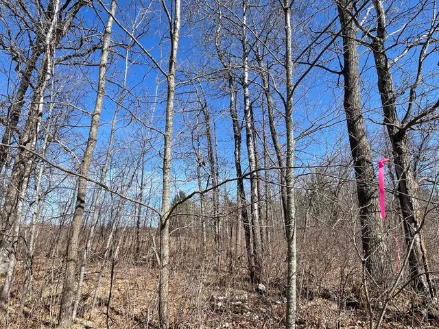 $45,000 | 46962-parcel B 269th Avenue, Laporte, MN 56461