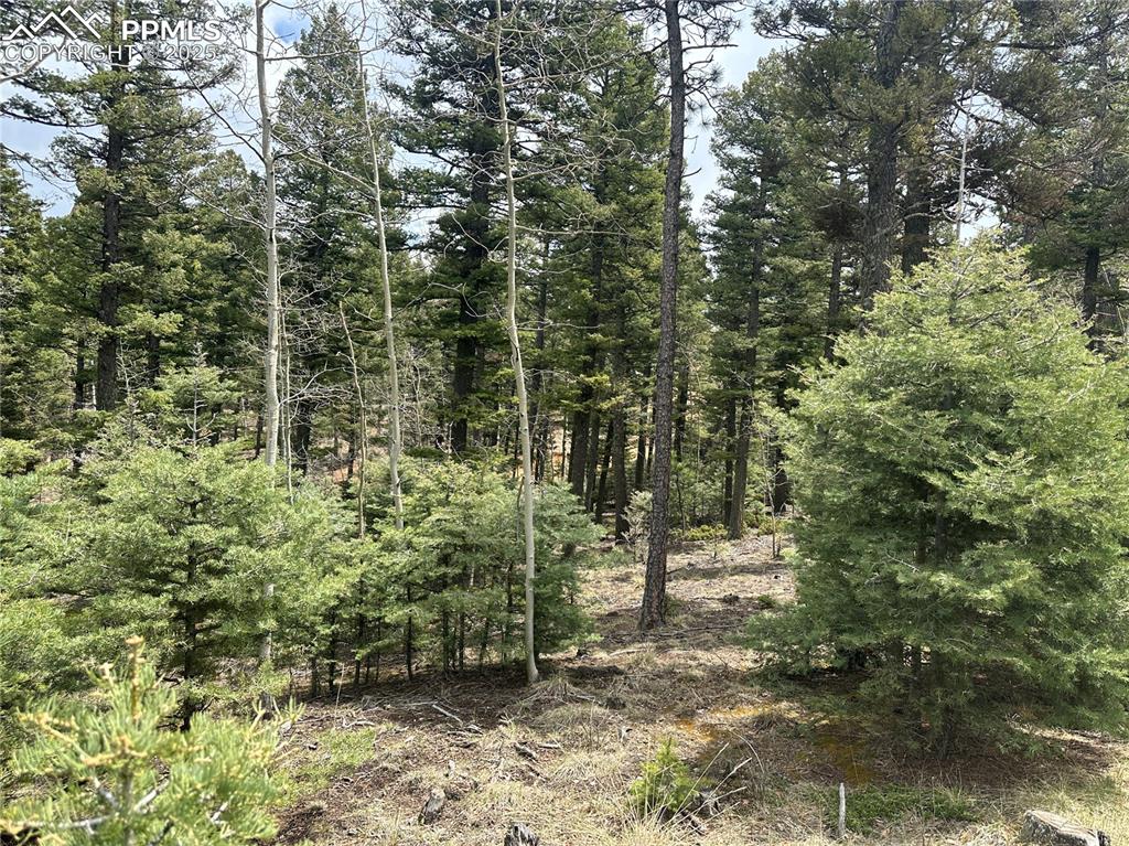 357 Big Horn Road Manitou Springs, CO 80829 - Photo 11 of 20 a view of outdoor space and trees
