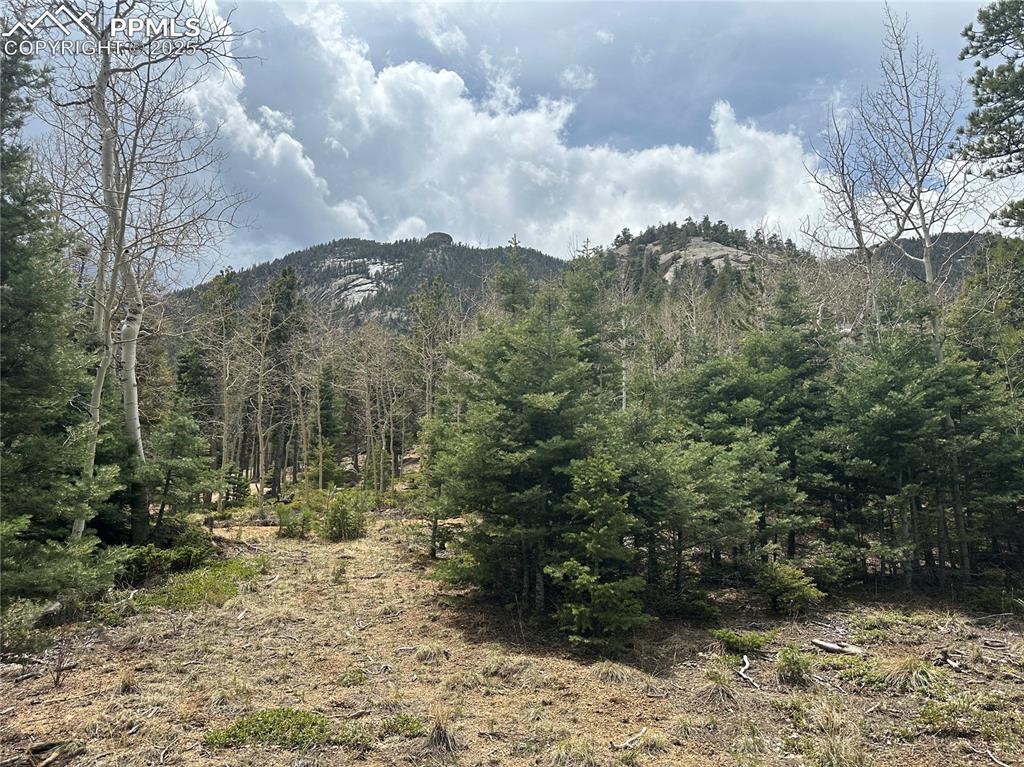 357 Big Horn Road Manitou Springs, CO 80829 - Photo 12 of 20 a view of a yard