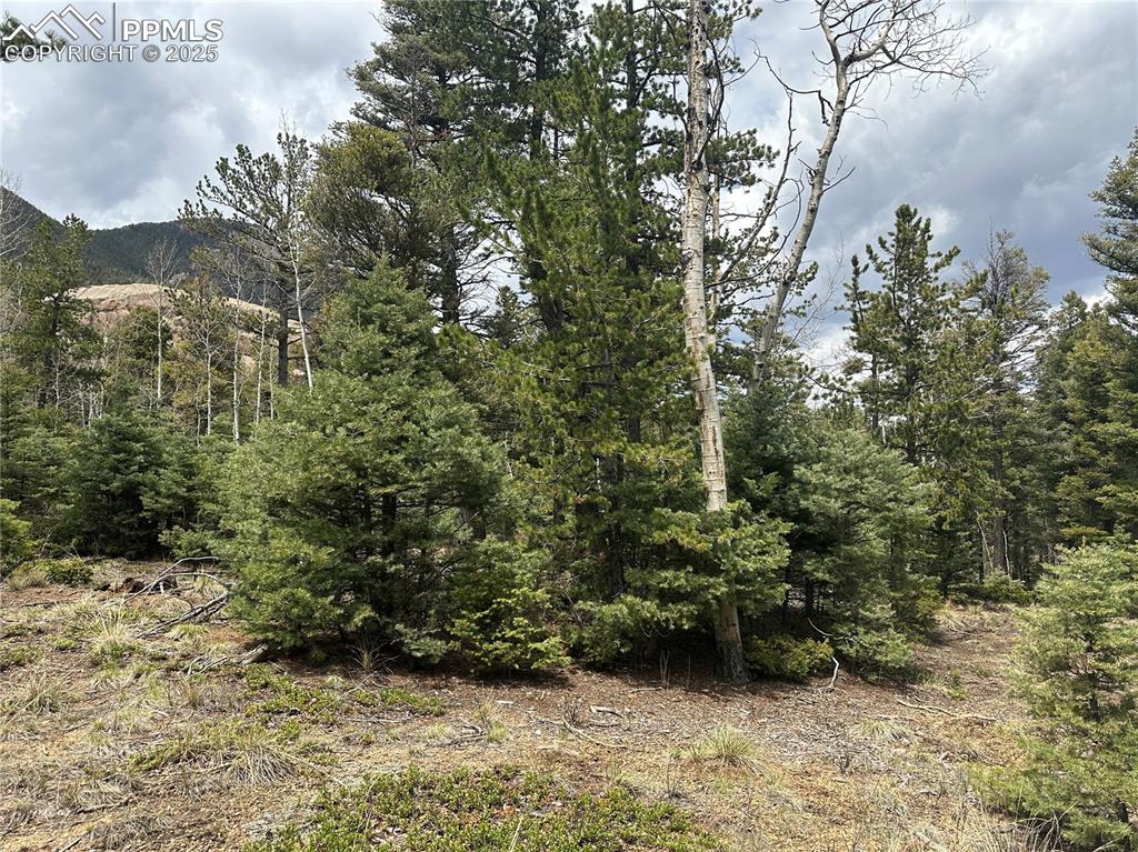 357 Big Horn Road Manitou Springs, CO 80829 - Photo 7 of 20 a view of outdoor space and trees